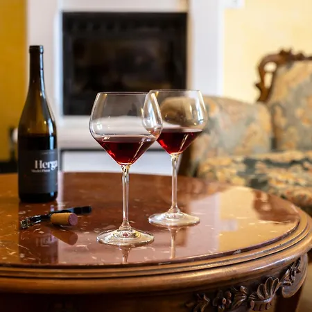 ゲストハウス Herga Wine Estate - Nest Above Wine Cellar - *