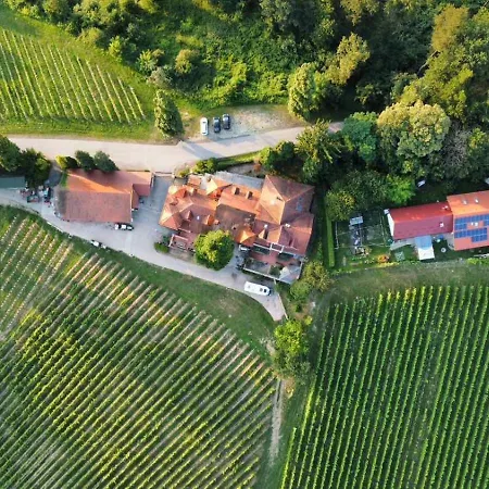 Hiša za goste Herga Wine Estate - Nest Above Wine Cellar - *