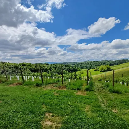 Herga Wine Estate - Nest Above Wine Cellar - Ivanjkovci