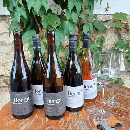 Hiša za goste Herga Wine Estate - Nest Above Wine Cellar - *