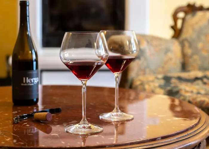 בית הארחה Herga Wine Estate - Nest Above Wine Cellar - *