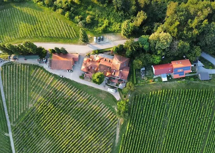 בית הארחה Herga Wine Estate - Nest Above Wine Cellar - *