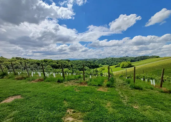 Herga Wine Estate - Nest Above Wine Cellar - Ivanjkovci
