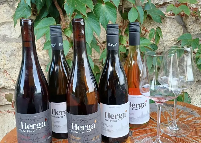 בית הארחה Herga Wine Estate - Nest Above Wine Cellar - *