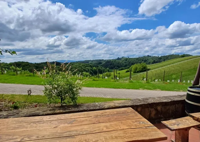 בית הארחה Herga Wine Estate - Nest Above Wine Cellar - Ivanjkovci